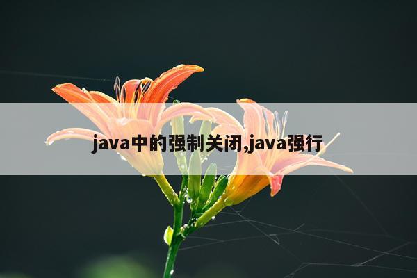 java中的强制关闭,java强行