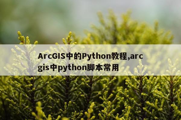 ArcGIS中的Python教程,arcgis中python脚本常用