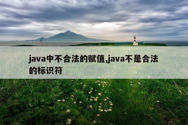 java中不合法的赋值,java不是合法的标识符