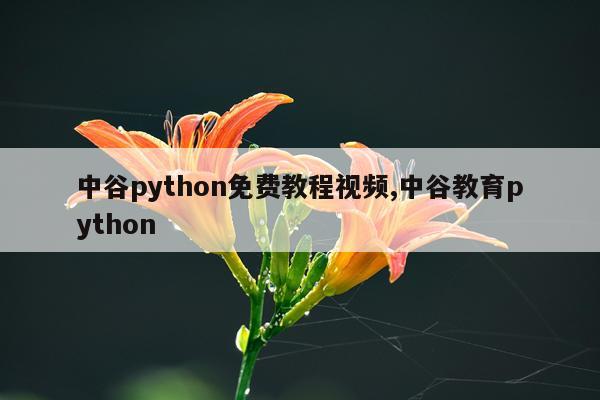 中谷python免费教程视频,中谷教育python