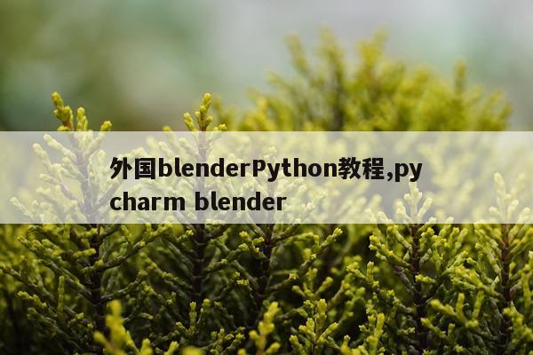 外国blenderPython教程,pycharm blender