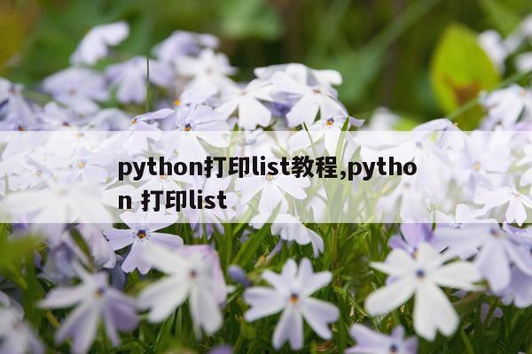 python打印list教程,python 打印list