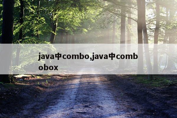 java中combo,java中combobox
