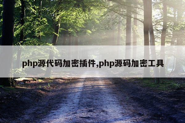 php源代码加密插件,php源码加密工具