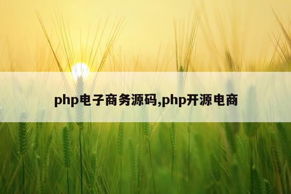php电子商务源码,php开源电商