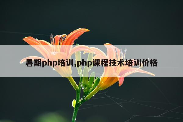 暑期php培训,php课程技术培训价格