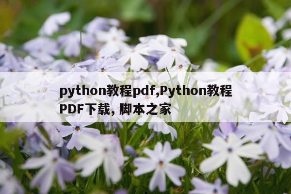 python教程pdf,Python教程PDF下载, 脚本之家