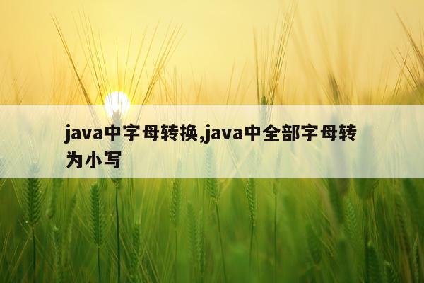 java中字母转换,java中全部字母转为小写