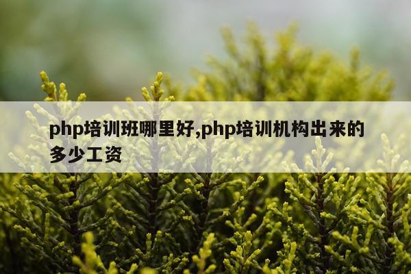 php培训班哪里好,php培训机构出来的多少工资