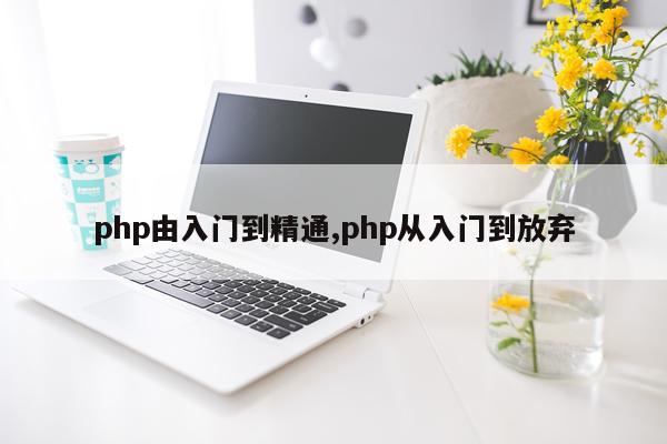 php由入门到精通,php从入门到放弃