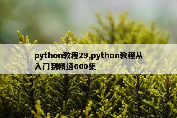python教程29,python教程从入门到精通600集