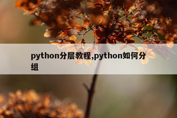 python分层教程,python如何分组