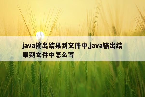 java输出结果到文件中,java输出结果到文件中怎么写