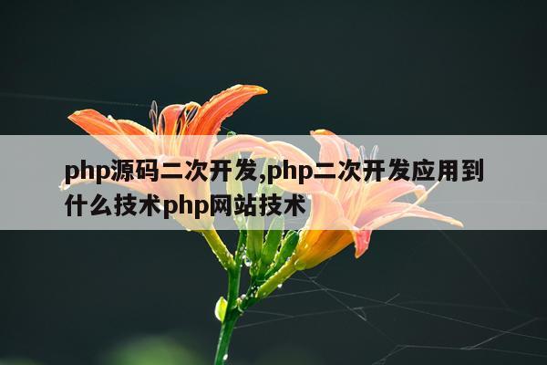 php源码二次开发,php二次开发应用到什么技术php网站技术