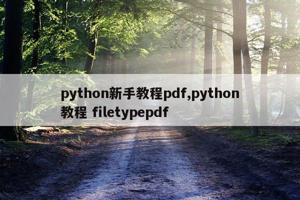 python新手教程pdf,python教程 filetypepdf