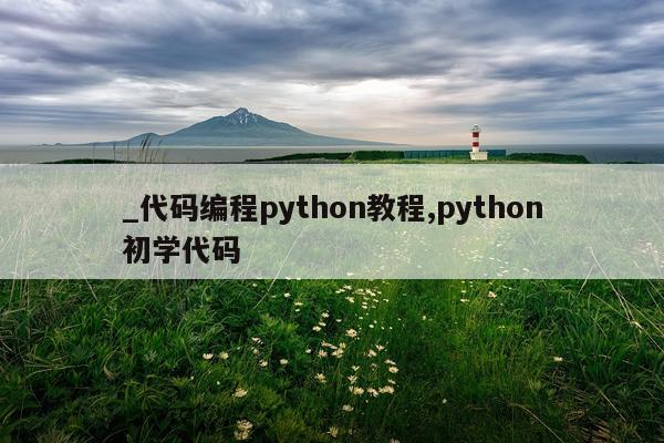 _代码编程python教程,python初学代码