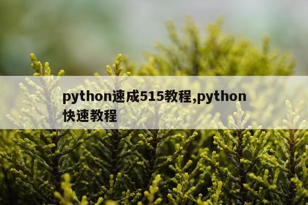 python速成515教程,python快速教程