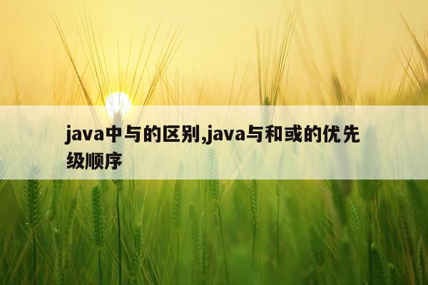 java中与的区别,java与和或的优先级顺序