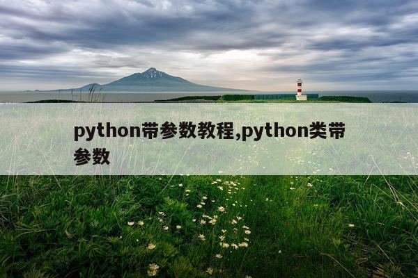 python带参数教程,python类带参数