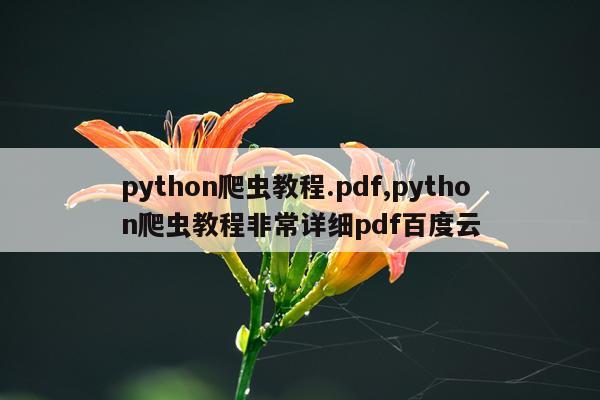 python爬虫教程.pdf,python爬虫教程非常详细pdf百度云
