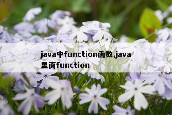 java中function函数,java里面function