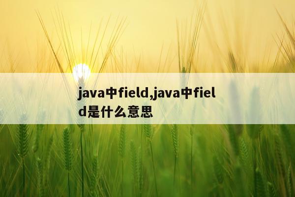 java中field,java中field是什么意思