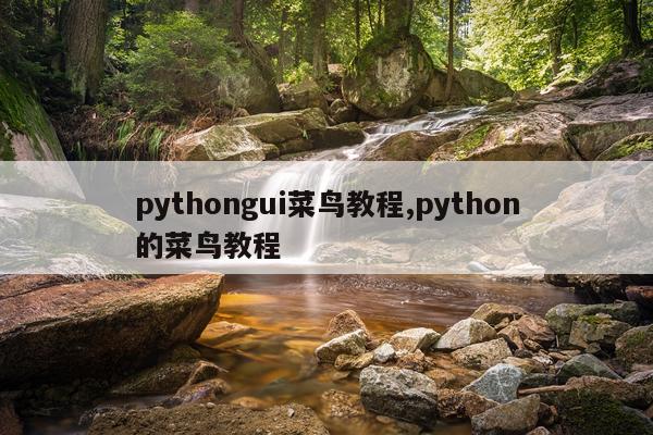 pythongui菜鸟教程,python的菜鸟教程