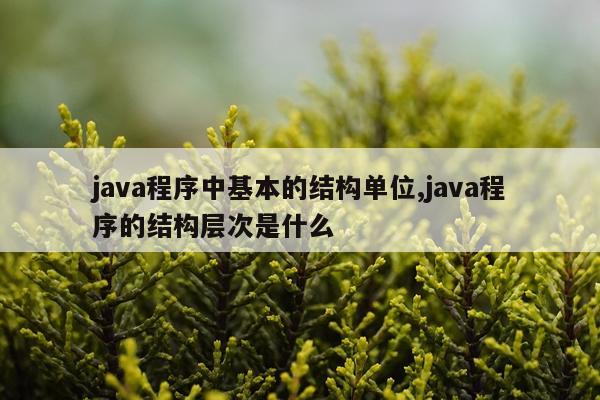 java程序中基本的结构单位,java程序的结构层次是什么