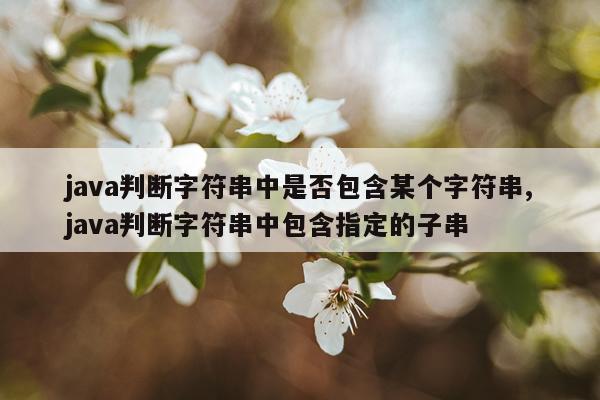 java判断字符串中是否包含某个字符串,java判断字符串中包含指定的子串