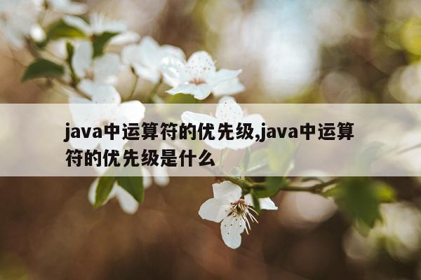 java中运算符的优先级,java中运算符的优先级是什么