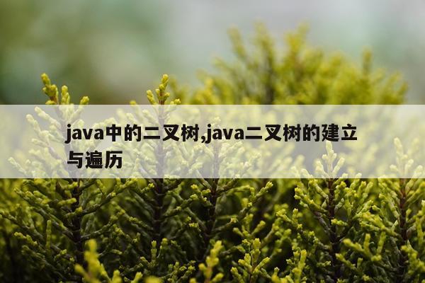 java中的二叉树,java二叉树的建立与遍历