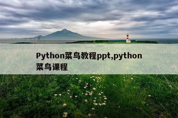 Python菜鸟教程ppt,python菜鸟课程