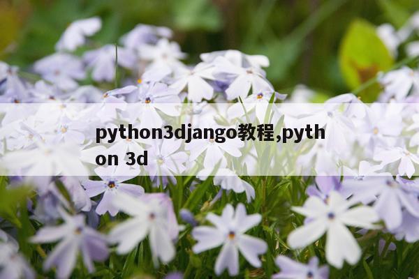 python3django教程,python 3d