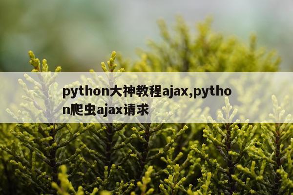 python大神教程ajax,python爬虫ajax请求