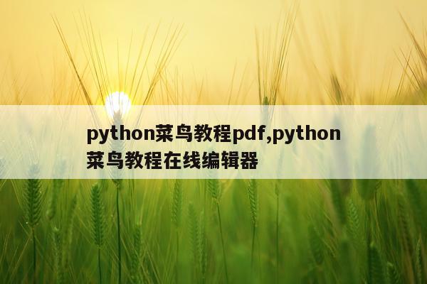 python菜鸟教程pdf,python菜鸟教程在线编辑器