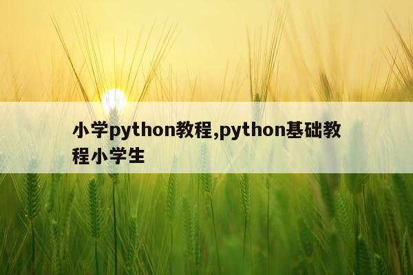 小学python教程,python基础教程小学生