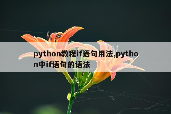 python教程if语句用法,python中if语句的语法