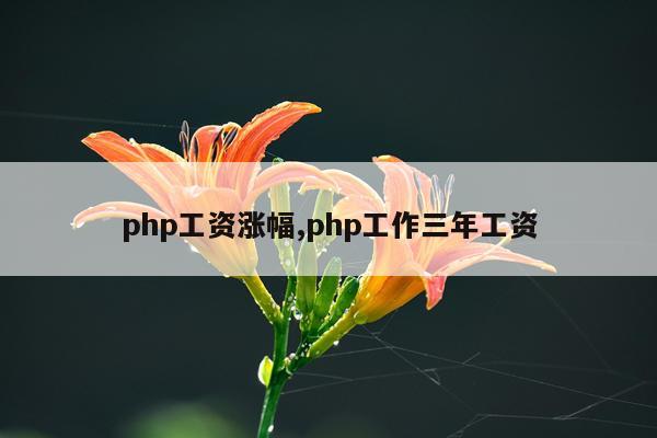 php工资涨幅,php工作三年工资