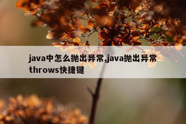 java中怎么抛出异常,java抛出异常throws快捷键