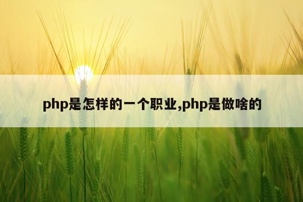 php是怎样的一个职业,php是做啥的