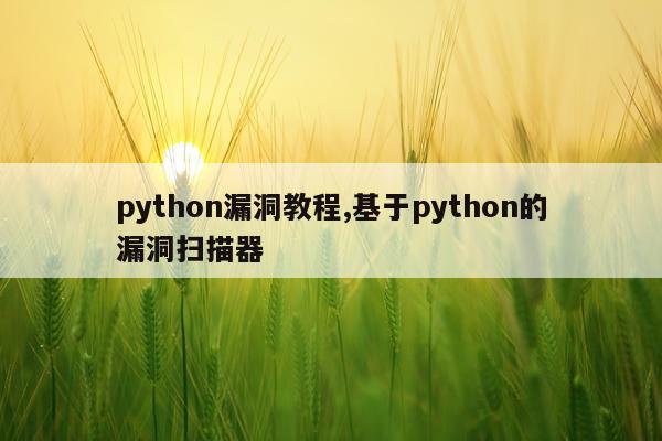 python漏洞教程,基于python的漏洞扫描器