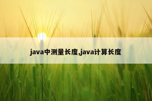 java中测量长度,java计算长度