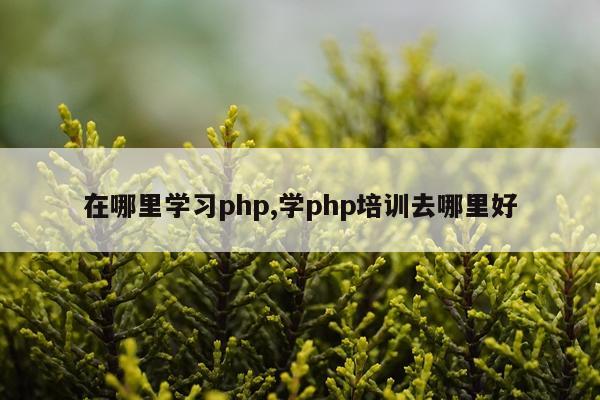 在哪里学习php,学php培训去哪里好