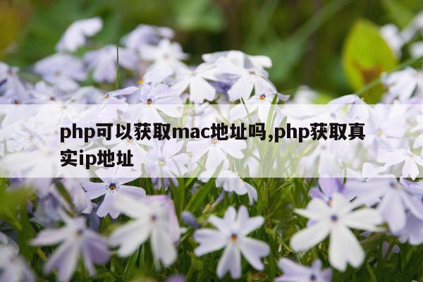 php可以获取mac地址吗,php获取真实ip地址