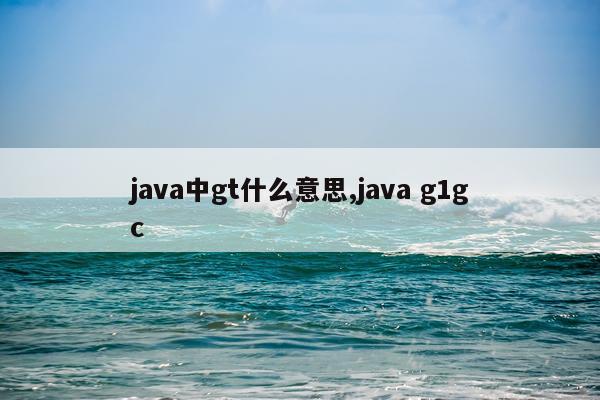 java中gt什么意思,java g1gc
