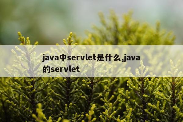 java中servlet是什么,java的servlet
