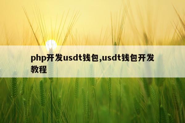php开发usdt钱包,usdt钱包开发教程