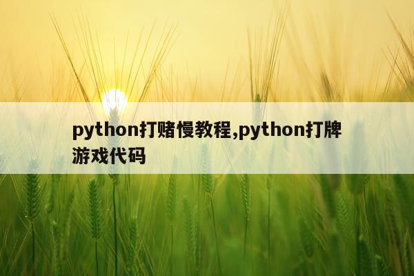 python打赌慢教程,python打牌游戏代码
