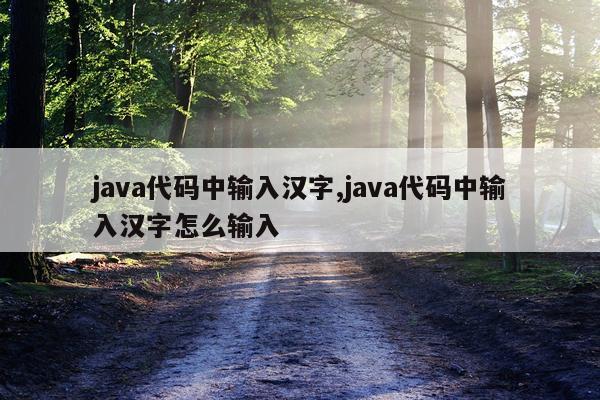 java代码中输入汉字,java代码中输入汉字怎么输入