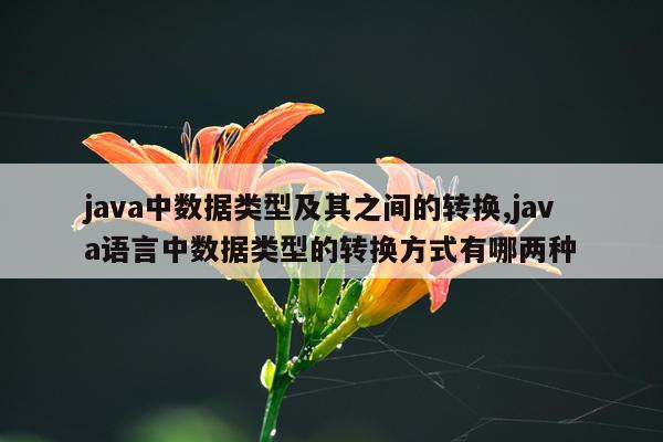 java中数据类型及其之间的转换,java语言中数据类型的转换方式有哪两种